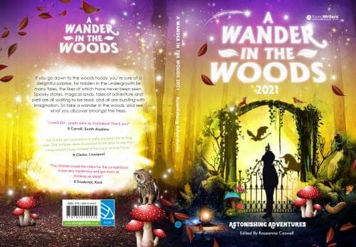 A Wander in The Woods Book